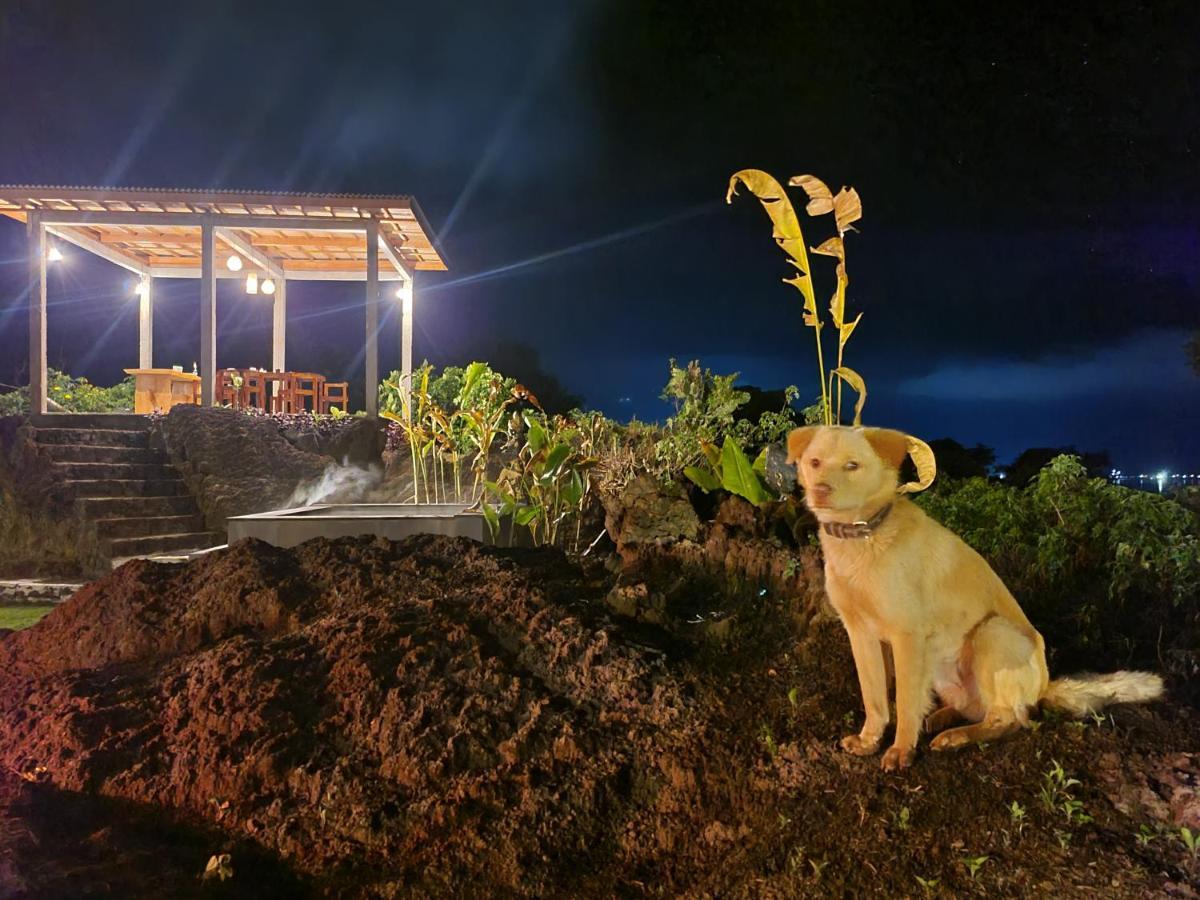 Alam Bali Lake View Bangli Dış mekan fotoğraf
